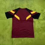 2024/2025 Roma Special Edition Soccer Jersey 1:1 Thai Quality