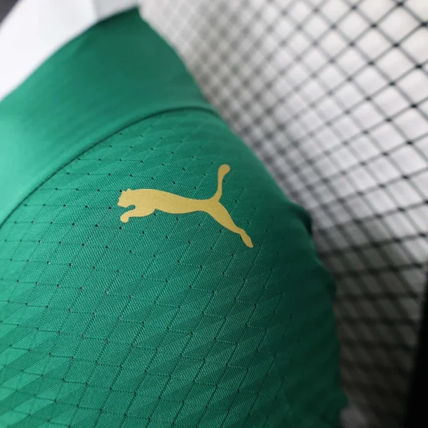 07f576554b88bff4d5cb16a5dcafb62c_1080x.webp 2024/2025 Player Version Palmeiras Home Football Jersey 1:1 Thai Quality