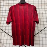 2024/2025 Arsenal Co-branded Edition Football Shirt 1:1 Thai Quality