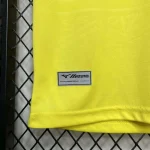 2024/2025 Lazio Away Soccer Jersey 1:1 Thai Quality