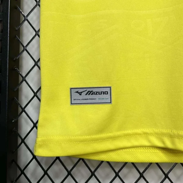 2024/2025 Lazio Away Soccer Jersey 1:1 Thai Quality