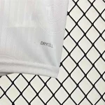 2024/2025 Palmeiras Away football Jersey 1:1 Thai Quality