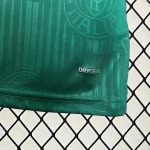 2024/2025 Palmeiras Home football Jersey 1:1 Thai Quality