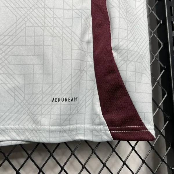 2024/2025 Ajax Third Away Football Shirt 1:1 Thai Quality