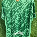 2024/2025 Barcelona Goalkeeper Green Football Shirt 1:1 Thai Quality
