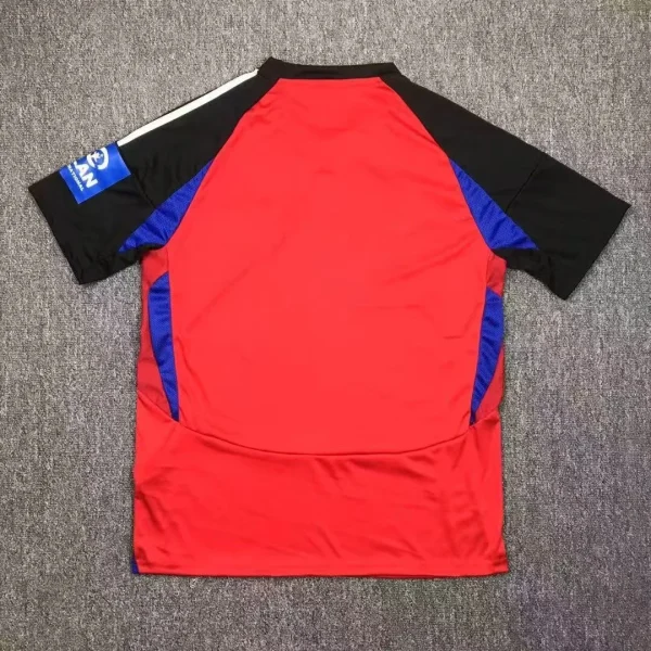 2024/2025 Hamburg Third Away Football Shirt 1:1 Thai Quality