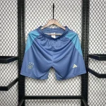 2024/2025 Ajax Away Shorts 1:1 Thai Quality