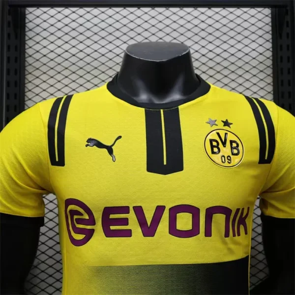2024/2025 Player Version Dortmund Cup Special Edition Football Shirt 1:1 Thai Quality