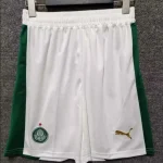 2024/2025 Palmeiras Home Shorts