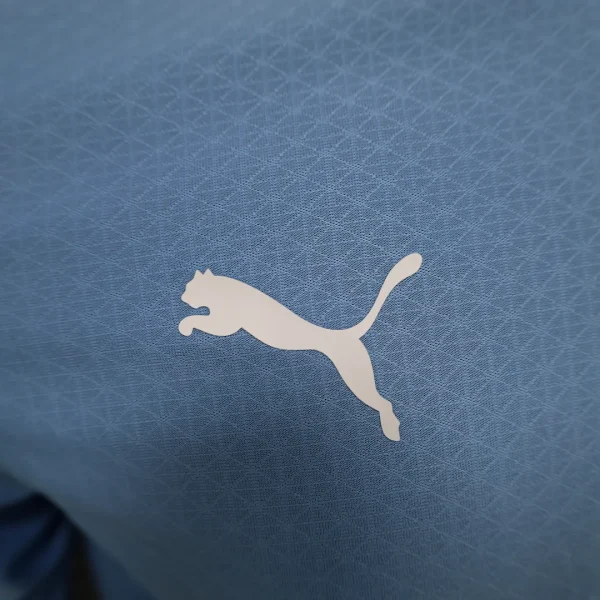 2024/2025 Player Version Long sleeve Manchester City Home Football Shirt 1:1 Thai Quality