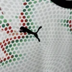2025 Portugal Away Football Shirt 1:1 Thai Quality Kids Size