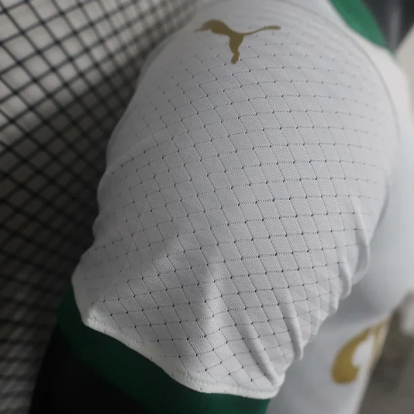 2024/2025 Player Version Palmeiras Away Football Jersey 1:1 Thai Quality
