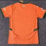 2024/2025 Valencia Third Away Football Shirt 1:1 Thai Quality