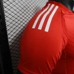 2024/2025 Player Version Benfica Home Football Shirt 1:1 Thai Quality