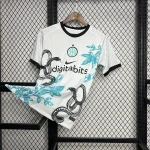 2024/2025  Inter Milan Special Edition  Football Jersey 1:1 Thai Quality