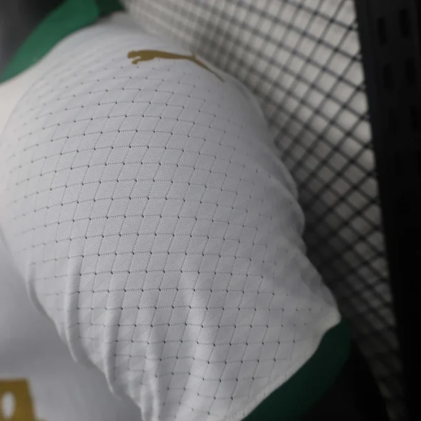 2024/2025 Player Version Palmeiras Away Football Jersey 1:1 Thai Quality