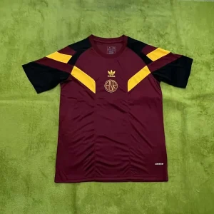 2024/2025 Roma Special Edition Soccer Jersey 1:1 Thai Quality