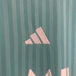 2024/2025 Inter Miami Third Away Soccer Jersey 1:1 Thail Quality