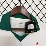 2024/2025 Palmeiras Away football Jersey 1:1 Thai Quality