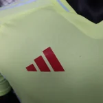 2024 Player Version Spain National TeamAway Football Shirt  1:1 Thai quality
