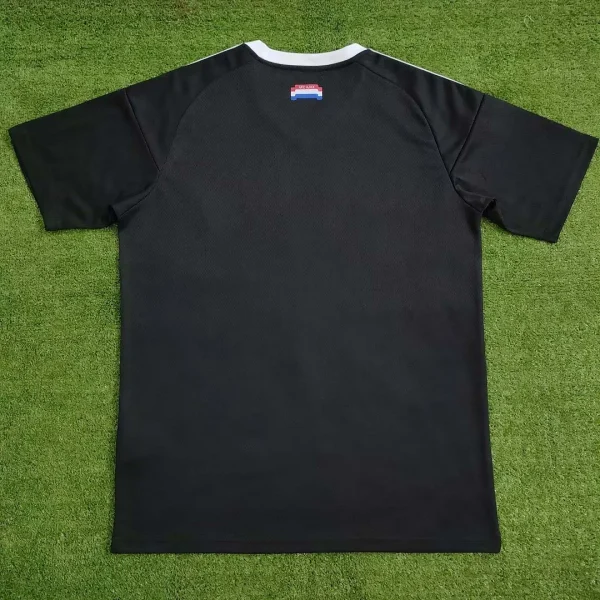 2024/2025 Ajax Training Wear Football Shirt 1:1 Thai Quality