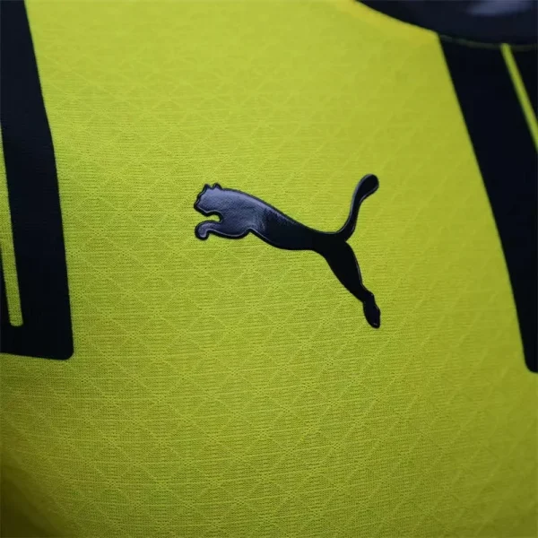 2024/2025 Player Version Dortmund Cup Special Edition Football Shirt 1:1 Thai Quality