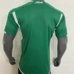 2022 Player Version Algeria National Team Away Shirt